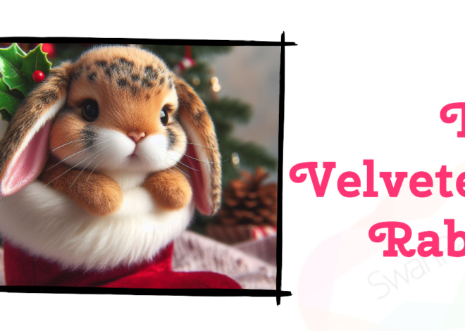 The Velveteen Rabbit – Classic Bedtime Story for kids